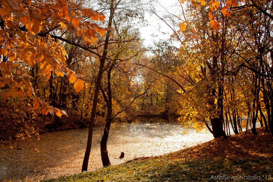 golden autumn [17]