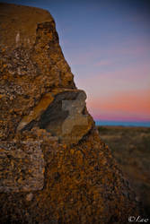 Karoo Nights