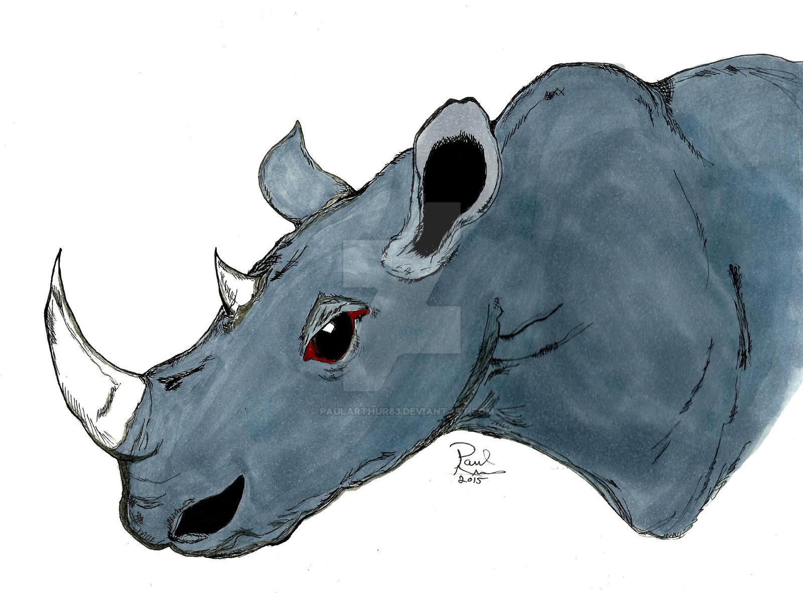 Rhino by PaulArthur83 on DeviantArt