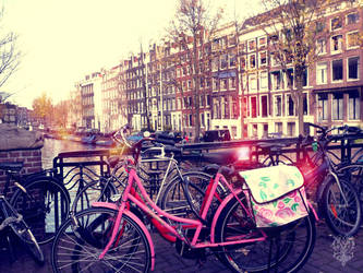 City of bicycles