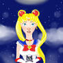 Sailor Moon 2014