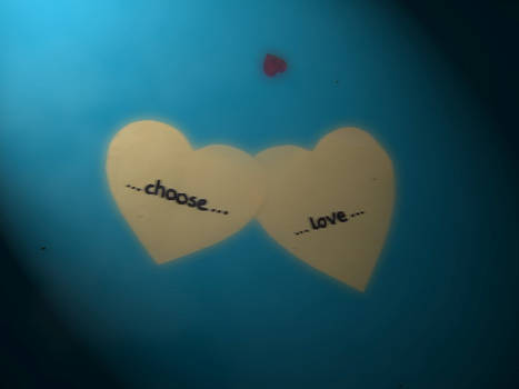 Choose My Love