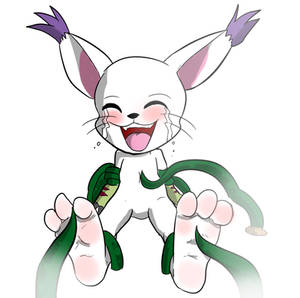 Ticklish Gatomon