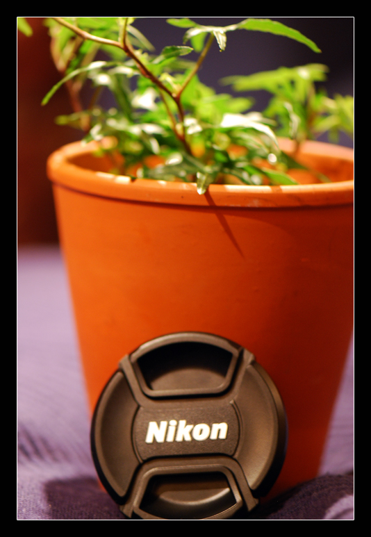 plant nikon