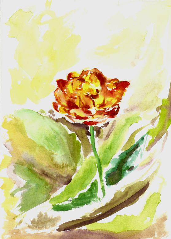 Tulip - watercolor 2