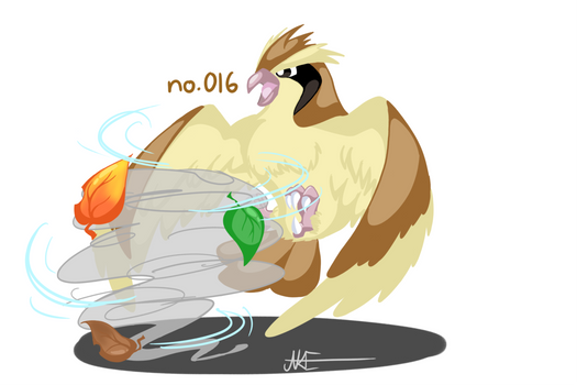 no.016 Pidgey