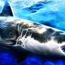 Fractal Shark