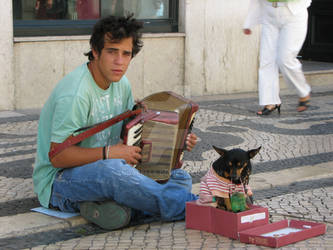 Busking Pooch II