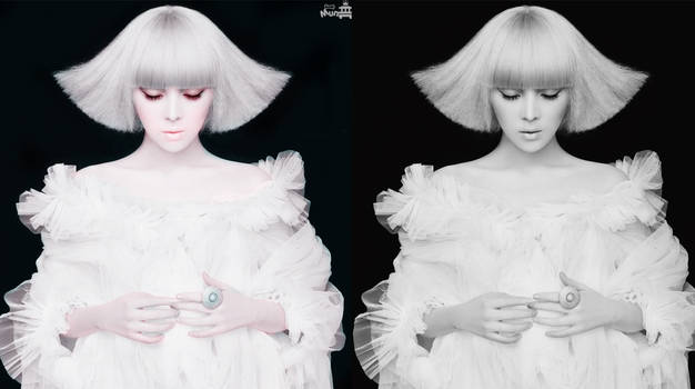 Narsha Colorization