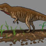 Therapods of North America:Ceratosaurus nasicornus