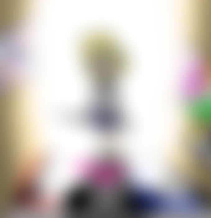 Magic Fun House cover by Pugbrainey on DeviantArt