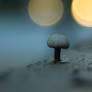 MUSHROOM