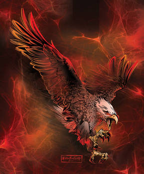 eagle in flame