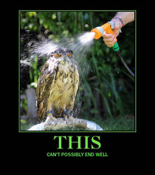 Just Watering the Owl.......