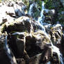 Waterfall on Skyline Drive