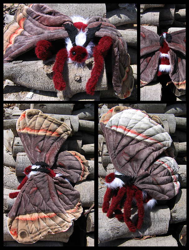 Giant Silk Moth Plush by Verdego on DeviantArt