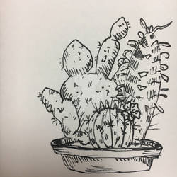 Cacti