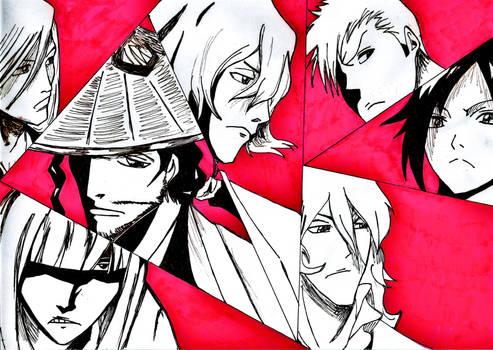 Bleach 07