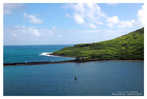 Seas and Greens