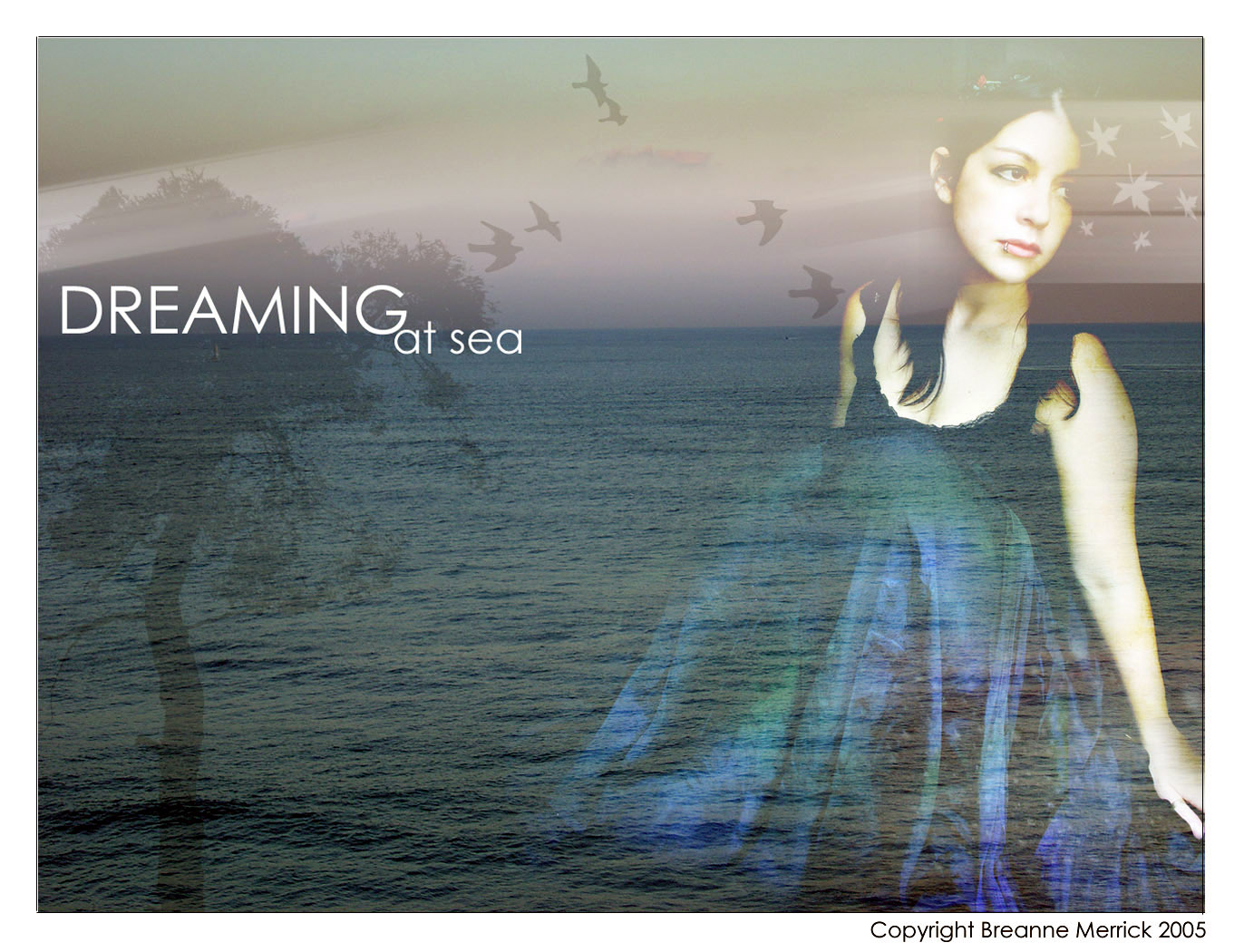 Dreaming at Sea II