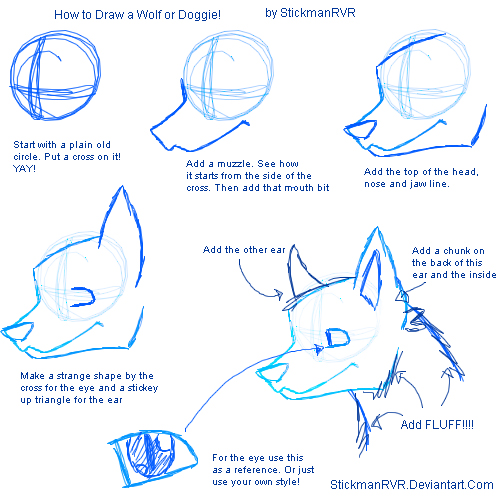 How to Draw a Wolf or a Doggie