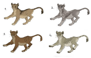 Lion cub adoptables [Closed]