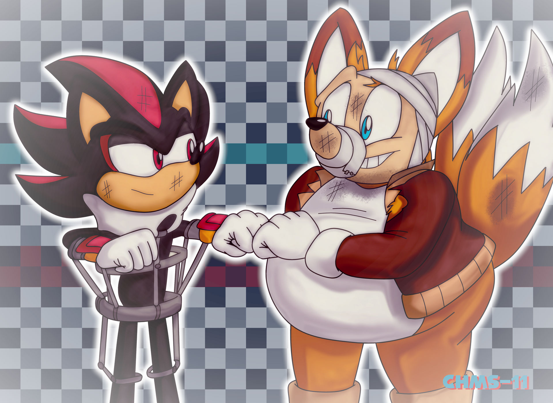 Shadowfriendly Deviantart Tails Tails vs Shadow (part 3 of 3) by CHMS-11 on DeviantArt