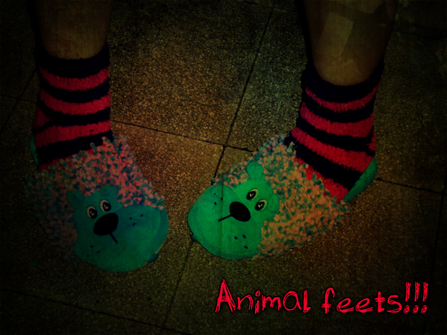 Animal feets