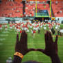 The U