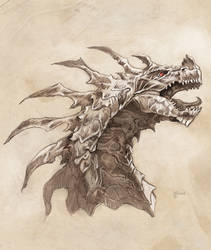 Dragon sketch