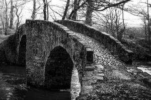 The Donkeys Bridge