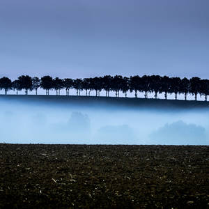 Inner Glimmer by OlivierAccart Inner Glimmer by OlivierAccart