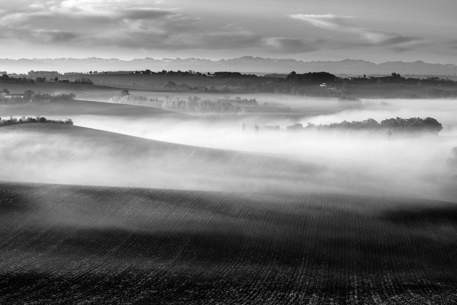 The Perfume of the Land by OlivierAccart The Perfume of the Land by OlivierAccart