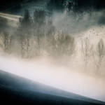 A rustling in the mist by OlivierAccart