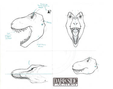 T. rex Head