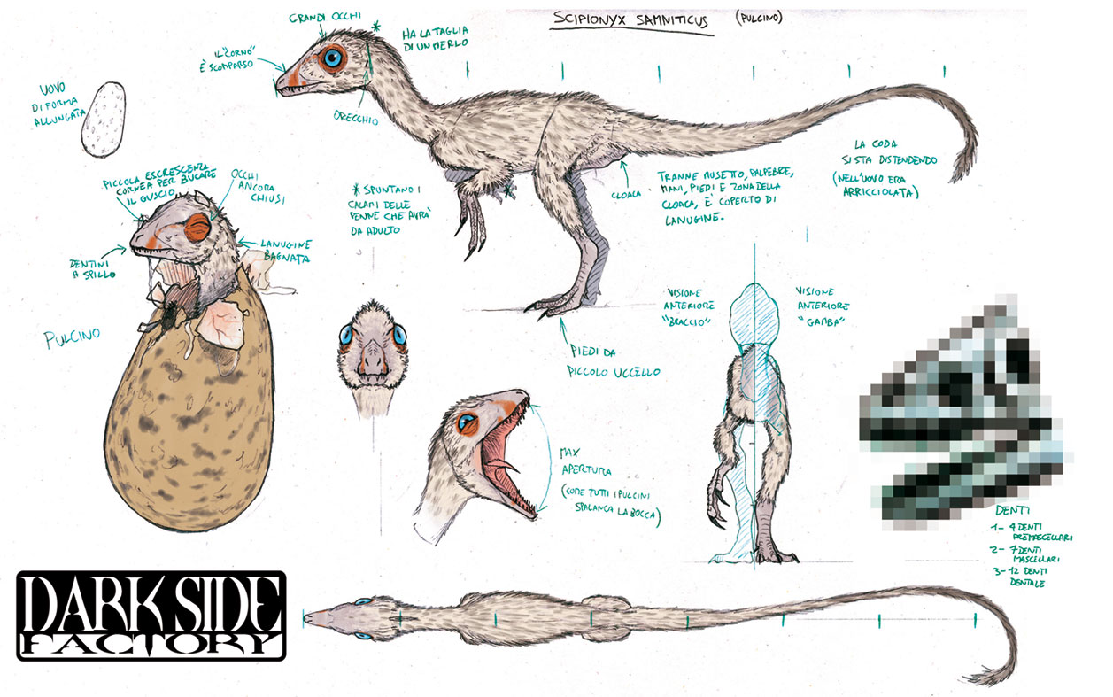 Scipionyx MS - Nestling