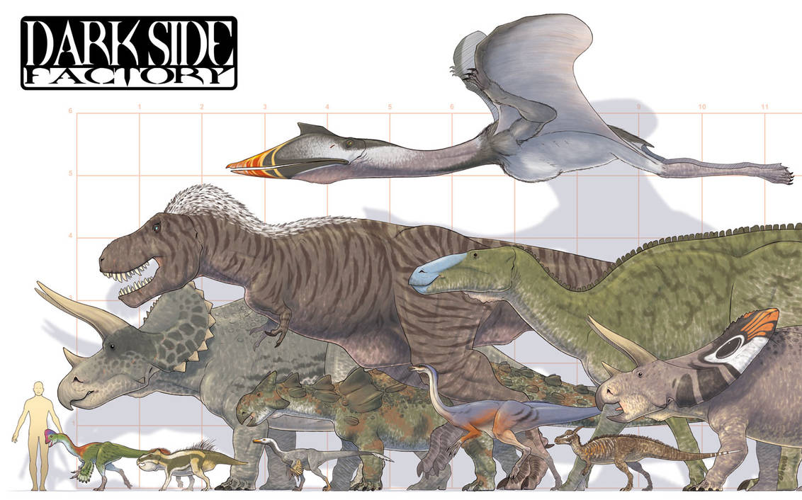 Сравнение динозавров. Спинозавр анатомия. Тираннозавр рекс рост. Тираннозавр и Спинозавр рост. Динозавры Спинозавр против тиранозавра.