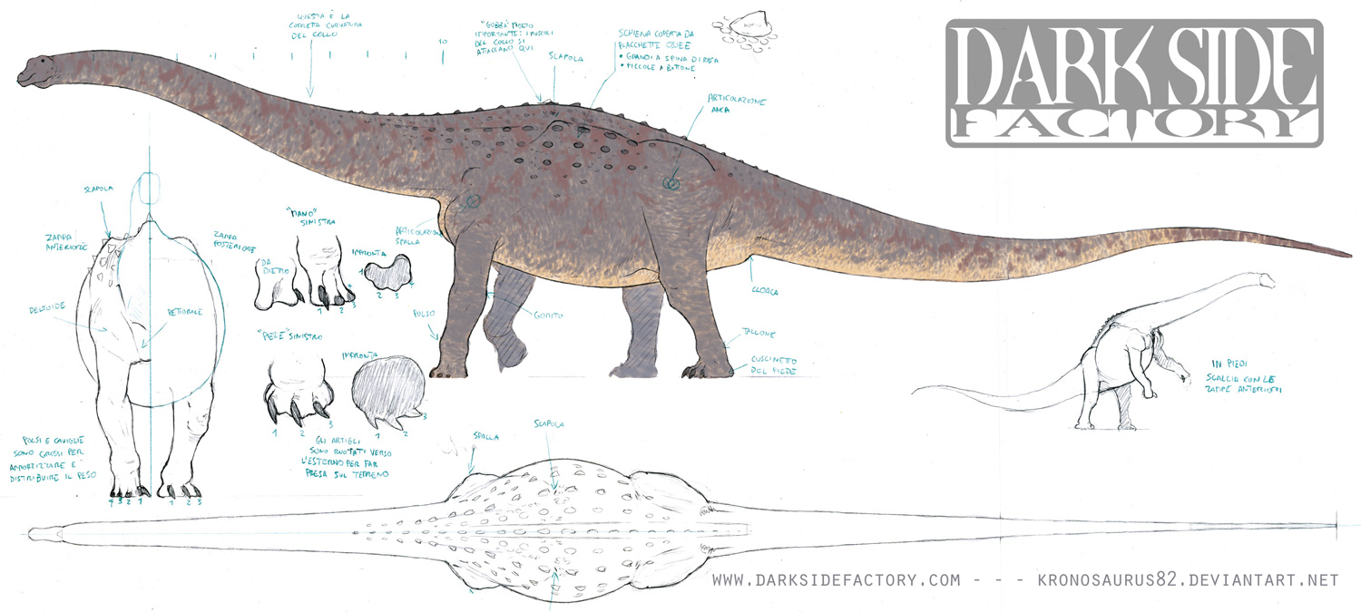 Argentinosaurus Model Sheet 1