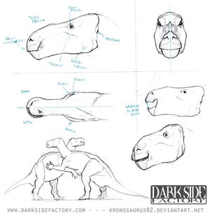 Iguanodon Model Sheet 2