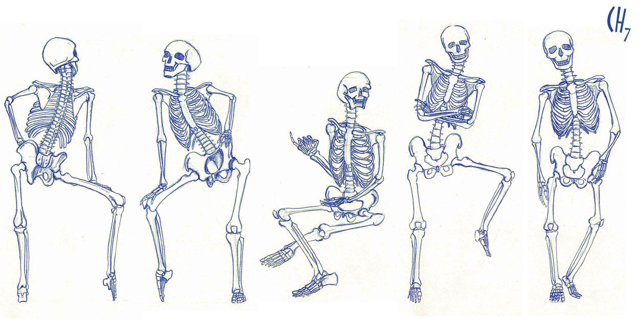 Skeleton Study Poses 01 by chuunin7 on DeviantArt