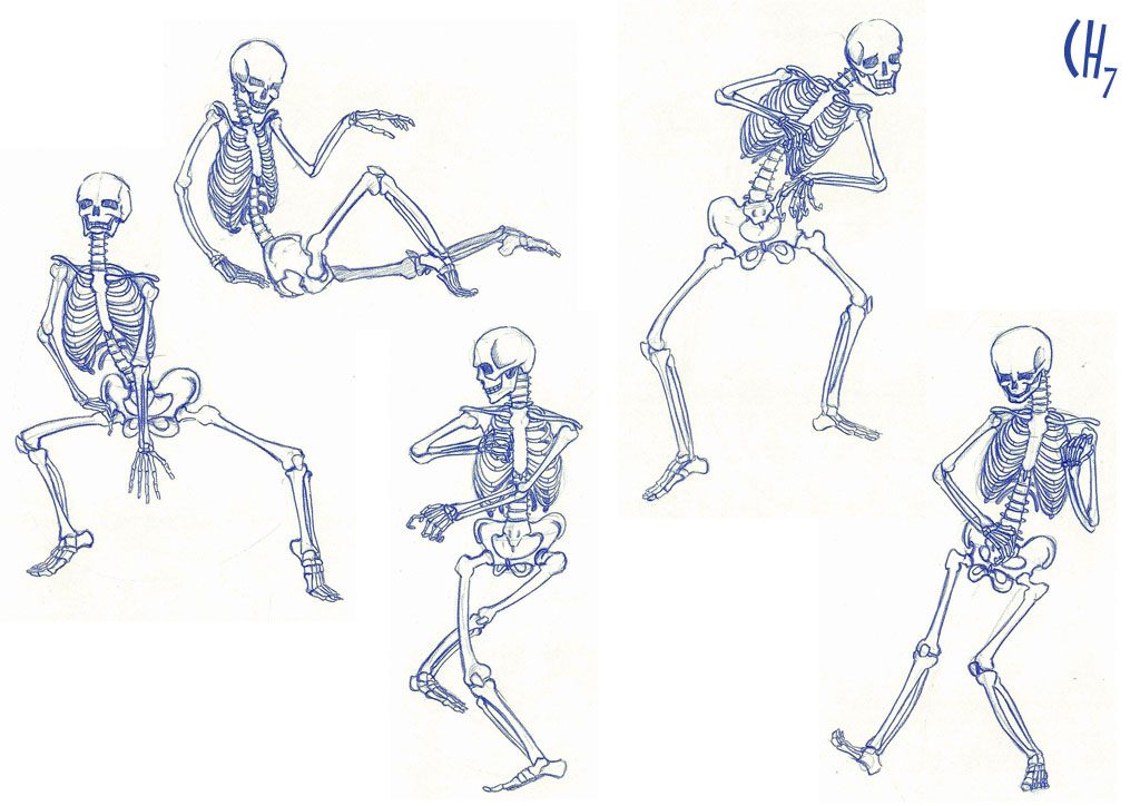 human skeleton drawing pose