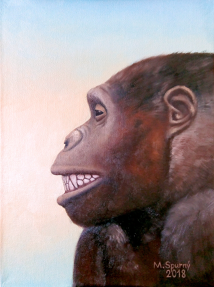 Proconsul by MartinSpurny on DeviantArt