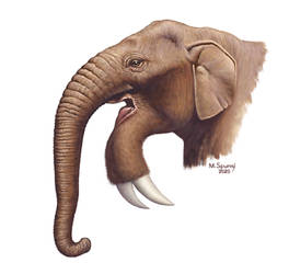 Deinotherium giganteum