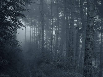 Aures silentii by baroquedoll
