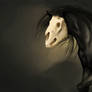 skull horse