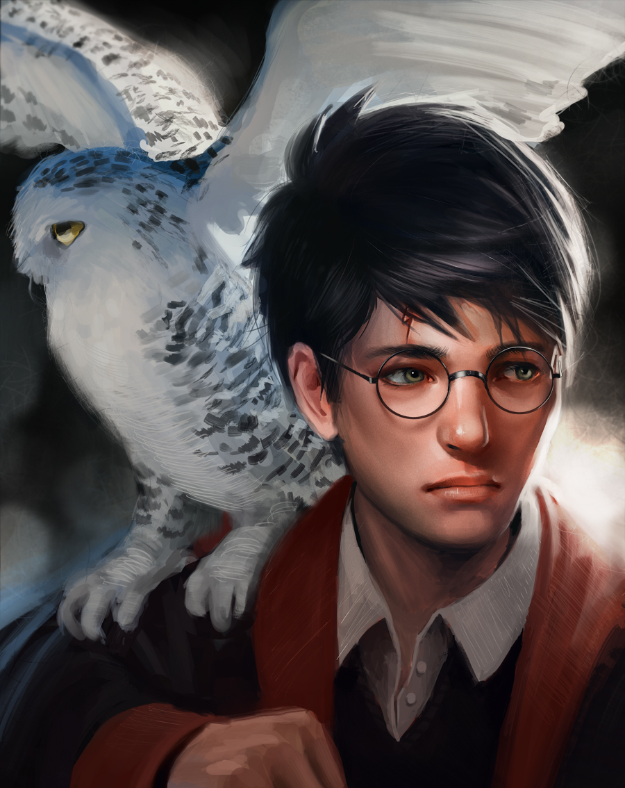 Harry J Potter