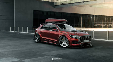 Audi Q8 03