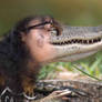 Alligator Morph