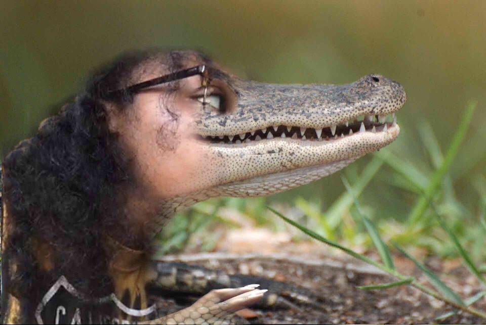 Alligator Morph