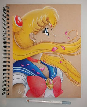 Usagi Tsukino/Sailor Moon